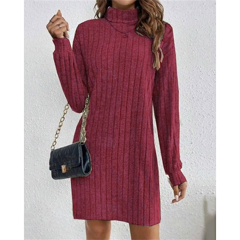 Mini Sweater Dress Ribbed Knit Turtleneck — view 7