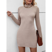 Mini Bodycon Dress Cable Knit Turtleneck