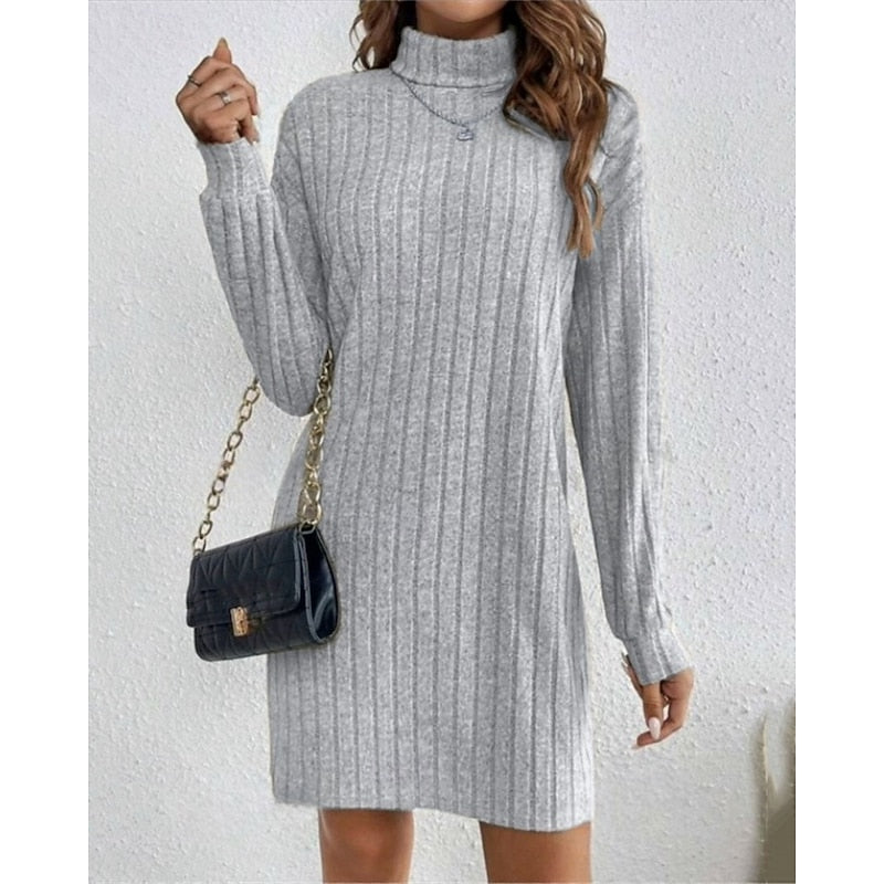 Mini Sweater Dress Ribbed Knit Turtleneck