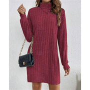 Mini Sweater Dress Ribbed Knit Turtleneck — view 7