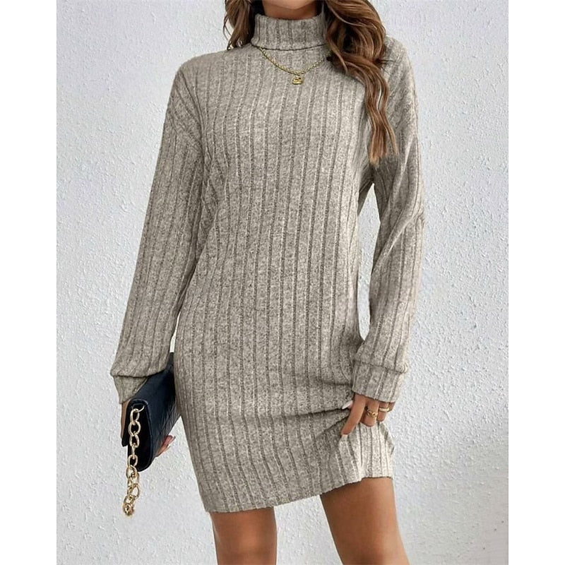 Mini Sweater Dress Ribbed Knit Turtleneck — view 6